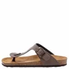 Aragon Brown