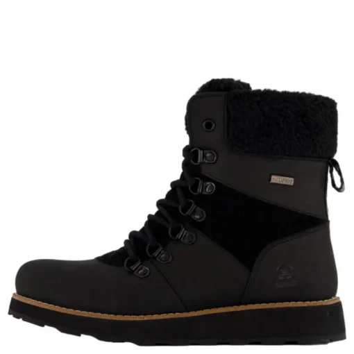 Ariel F Black