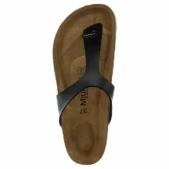 Birkir Black