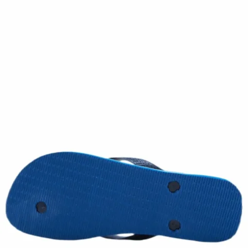 Brasil Fresh Blue/Green
