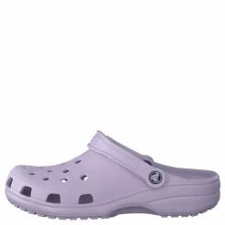 Classic Lavender