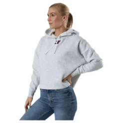 Cropped Hoody Flag Logo Grey