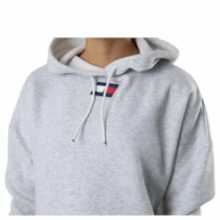 Cropped Hoody Flag Logo Grey