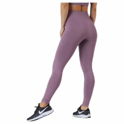 Erica Seamless Tights Purple