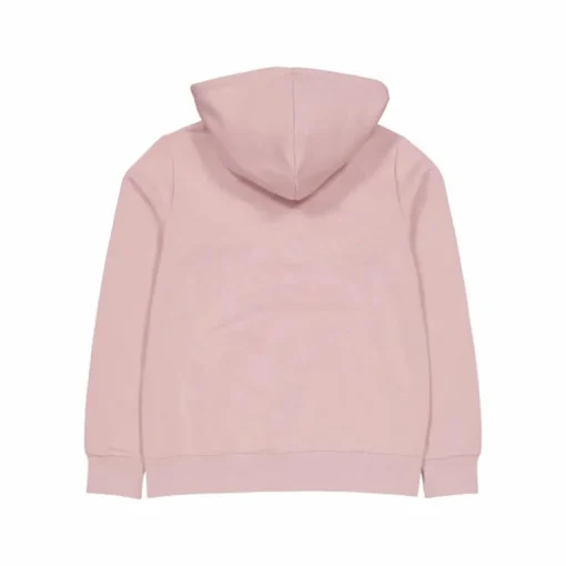 Hooded Sweatshirt Pale Hauve
