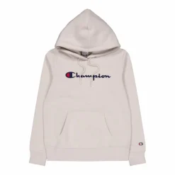 Hooded Sweatshirt Silver Lining