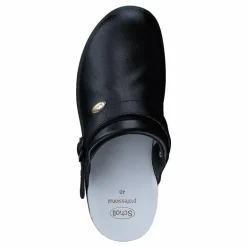 New Bonus Black