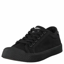 Pallaphoenix Og Cvs Black