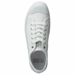 Pallaphoenix Og Cvs White
