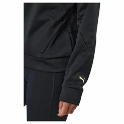 Puma Fit Tech Knit Po Hoodie Puma Black-metallic Gold