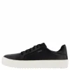 Rex Turin Gtx Black