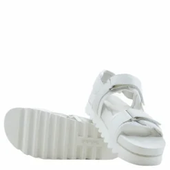 Santa Monica Sunrise Sporty White