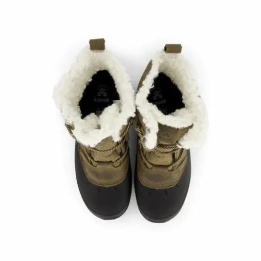 Snowgem Lo Fossil