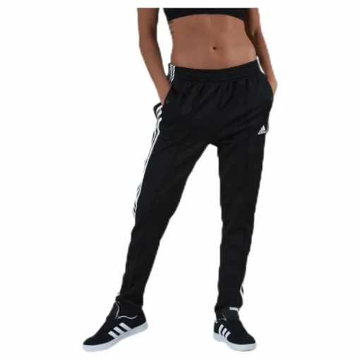 Womens Must Haves Snap Pant Black